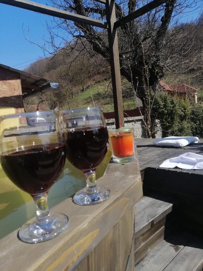 Casa De Vacanta Silvia Vărmaga エクステリア 写真
