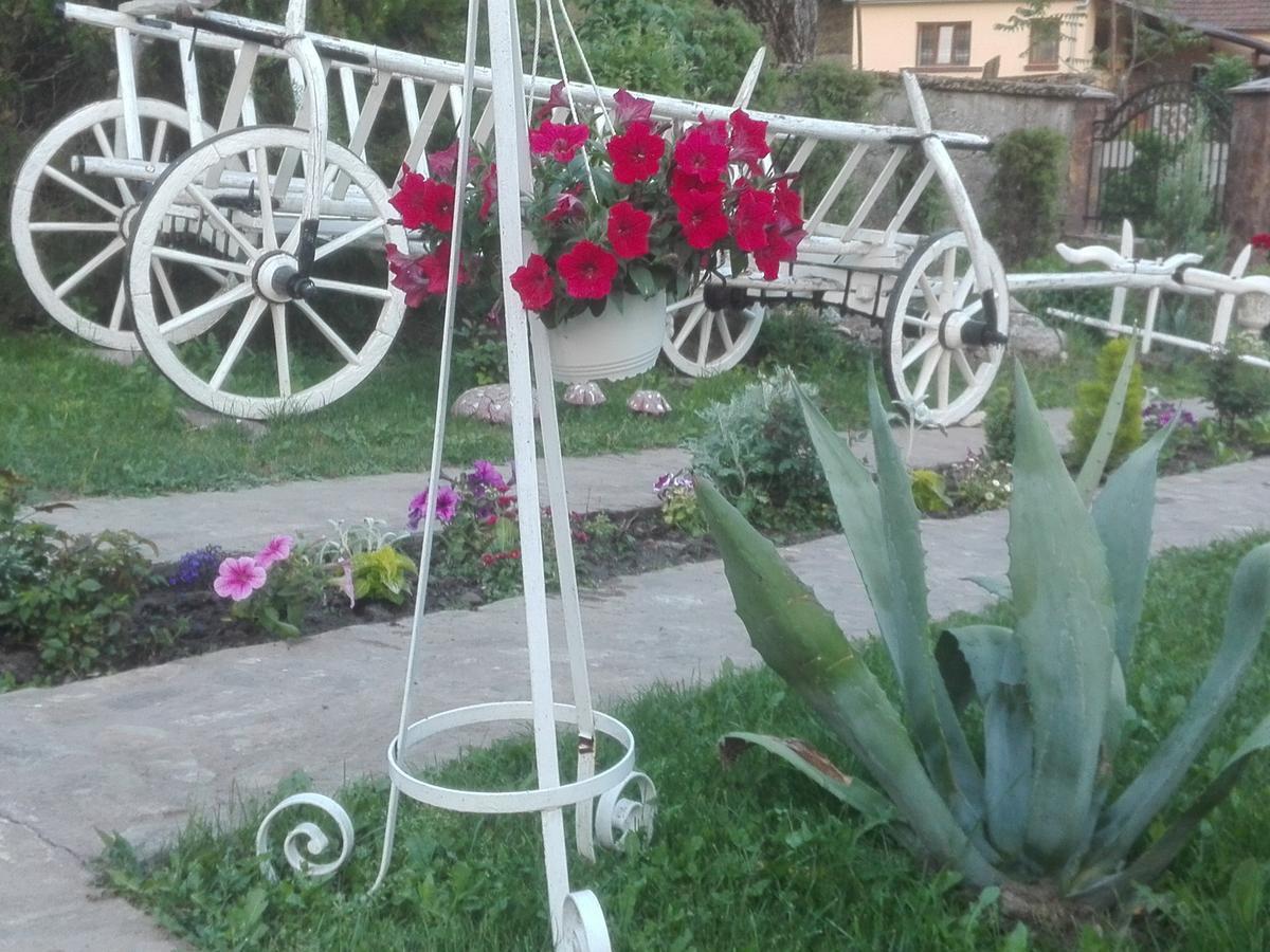 Casa De Vacanta Silvia Vărmaga エクステリア 写真