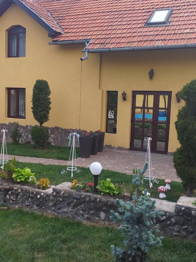 Casa De Vacanta Silvia Vărmaga エクステリア 写真