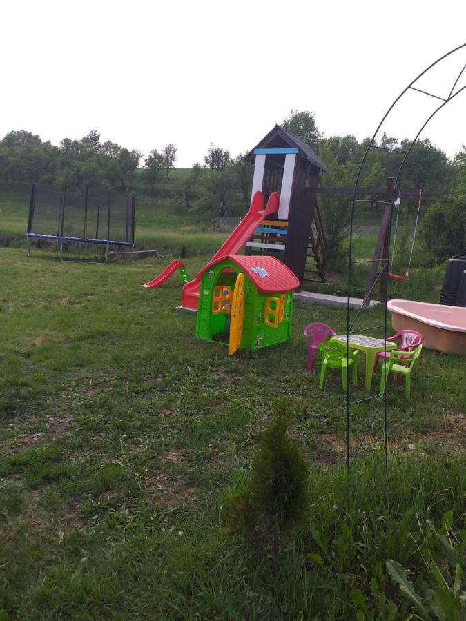 Casa De Vacanta Silvia Vărmaga エクステリア 写真