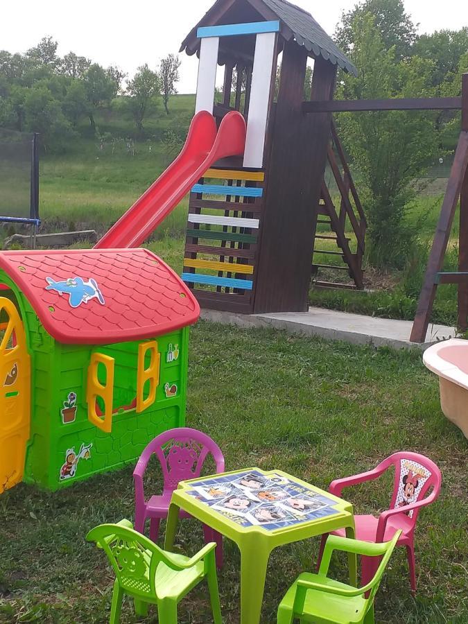 Casa De Vacanta Silvia Vărmaga エクステリア 写真